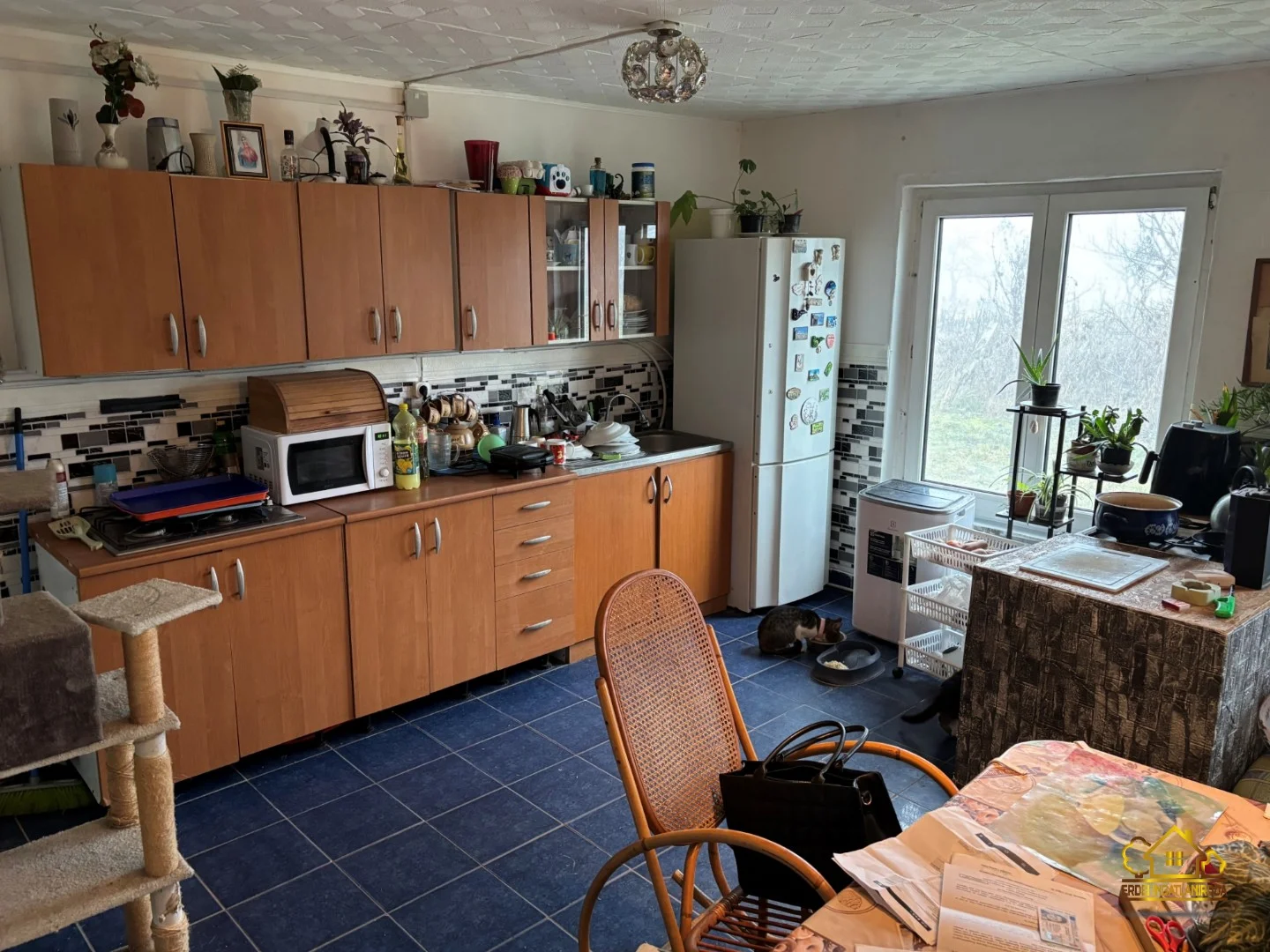 Eladó családi ház Dömsöden - Kép 5