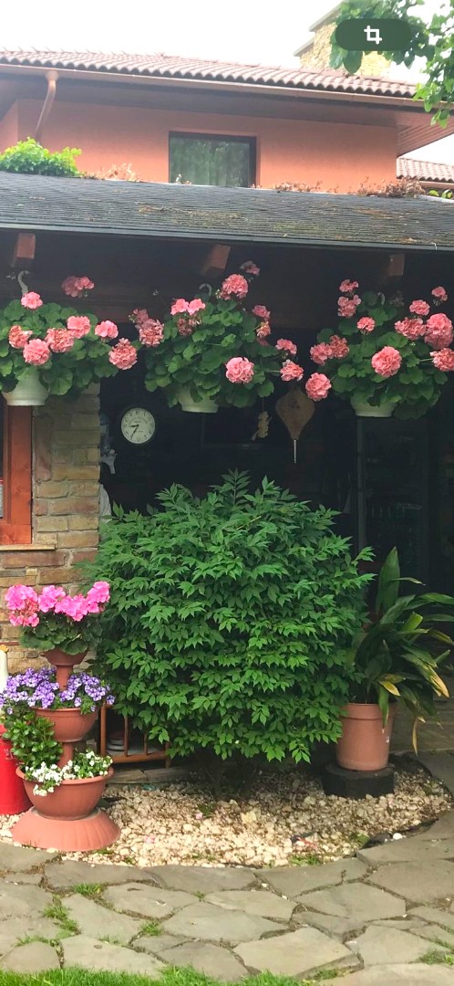 Eladó ikerház Budapest 20. ker.en - Kép 3