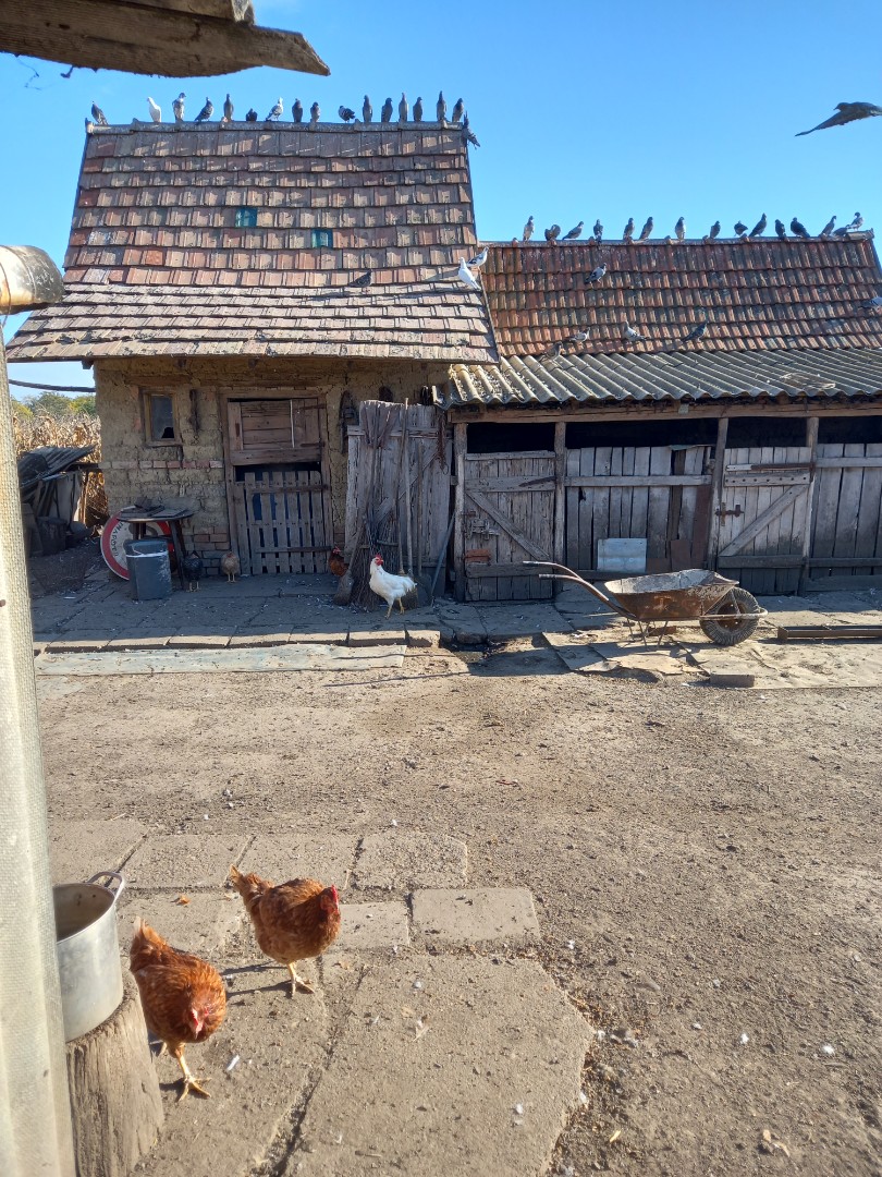 Eladó tanya mezőgazdaság Hajdúszoboszlón