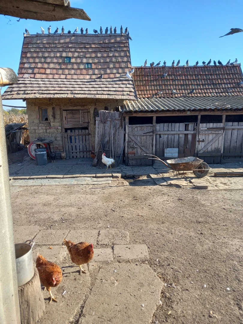 Eladó tanya mezőgazdaság Hajdúszoboszlón