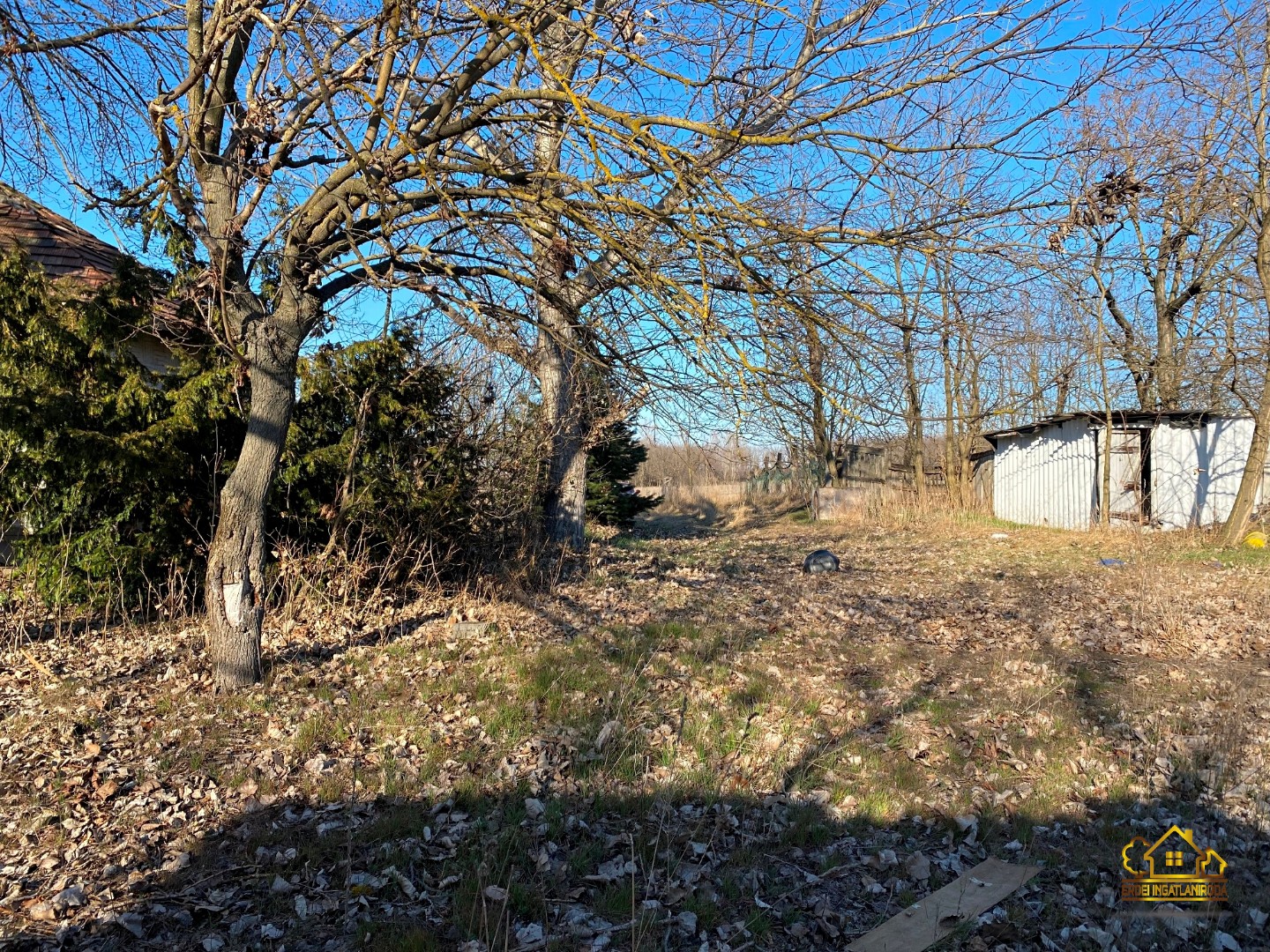 Eladó tanya mezőgazdaság Lajosmizsen - Kép 2