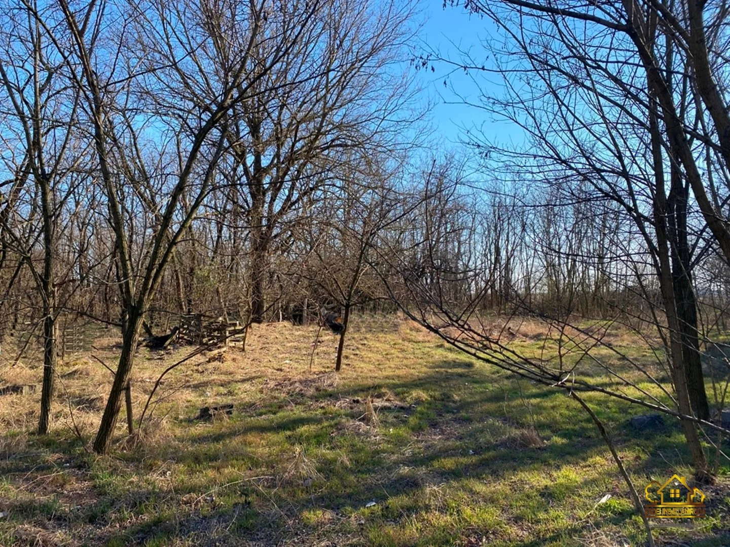 Eladó tanya mezőgazdaság Lajosmizsen - Kép 17