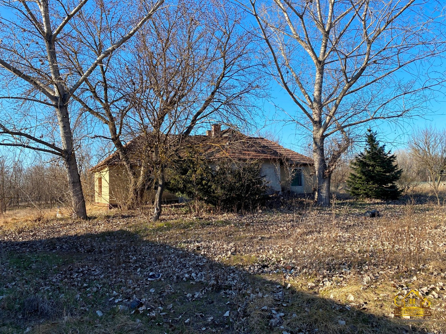 Eladó tanya mezőgazdaság Lajosmizsen - Kép 4