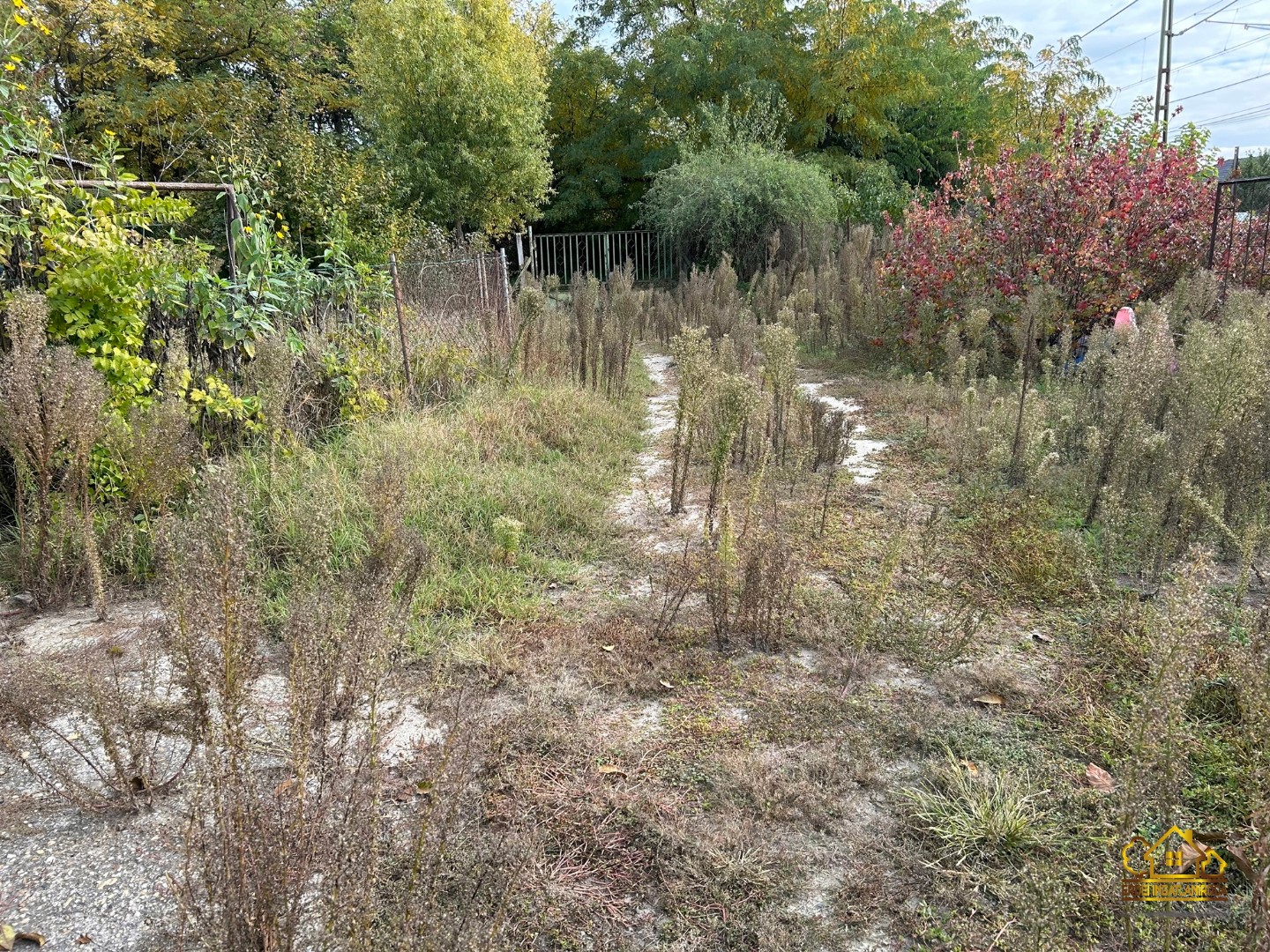 Eladó tanya mezőgazdaság Szigethalomon - Kép 13