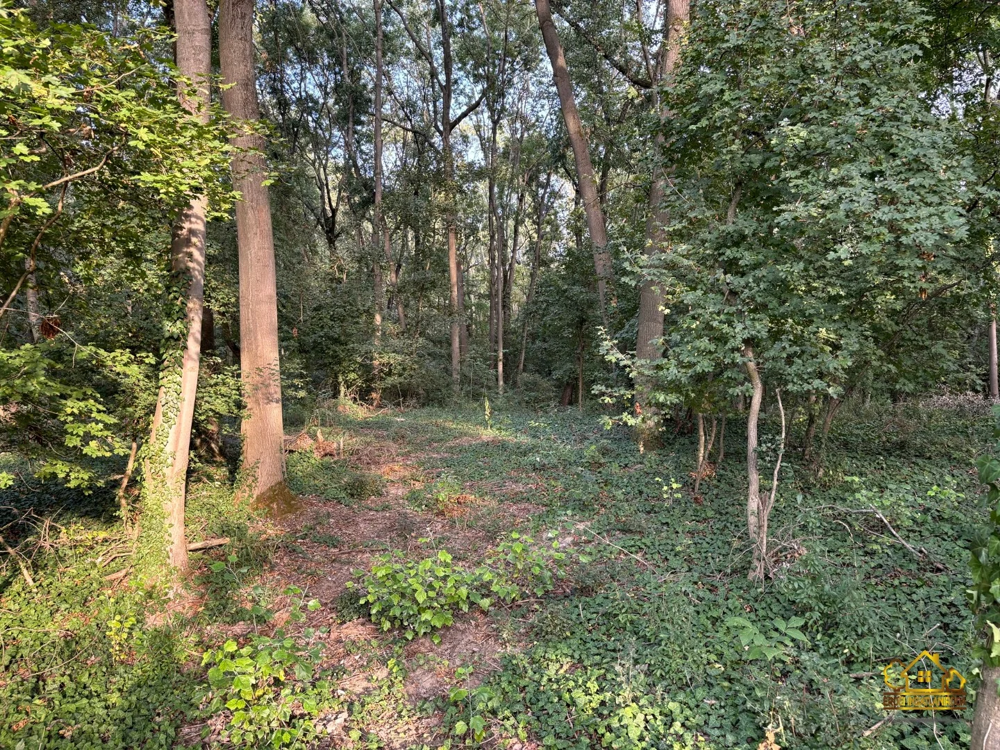 Eladó építési telek Kiskunlacházan - Kép 3