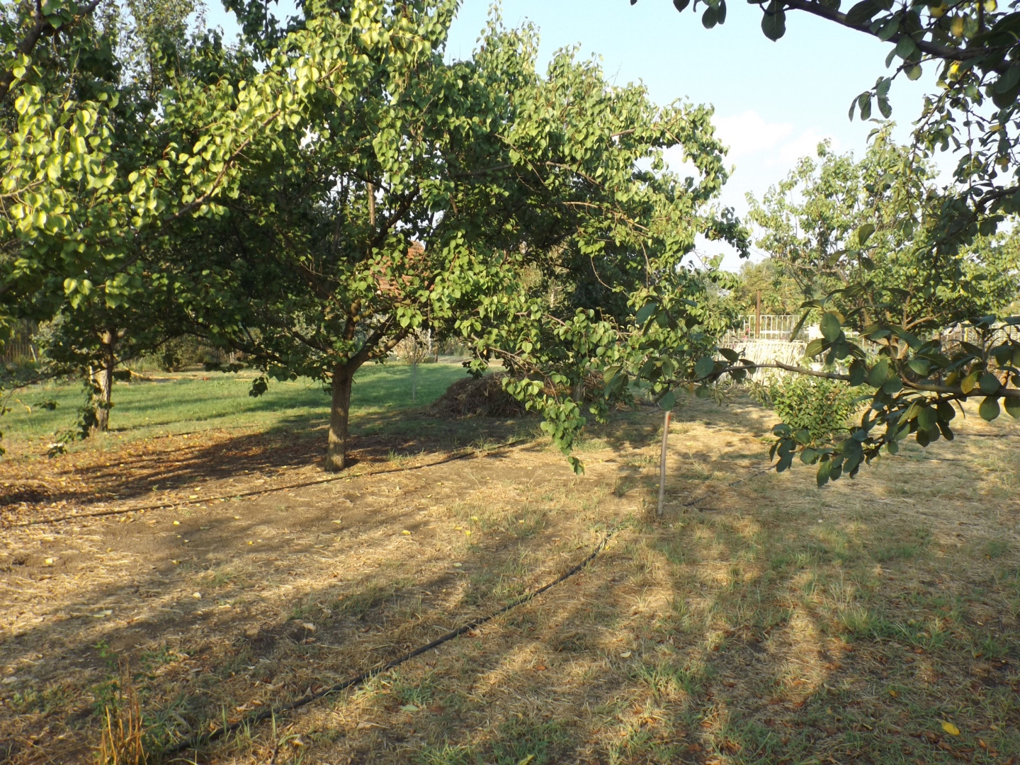 Eladó családi ház Sándorfalvan