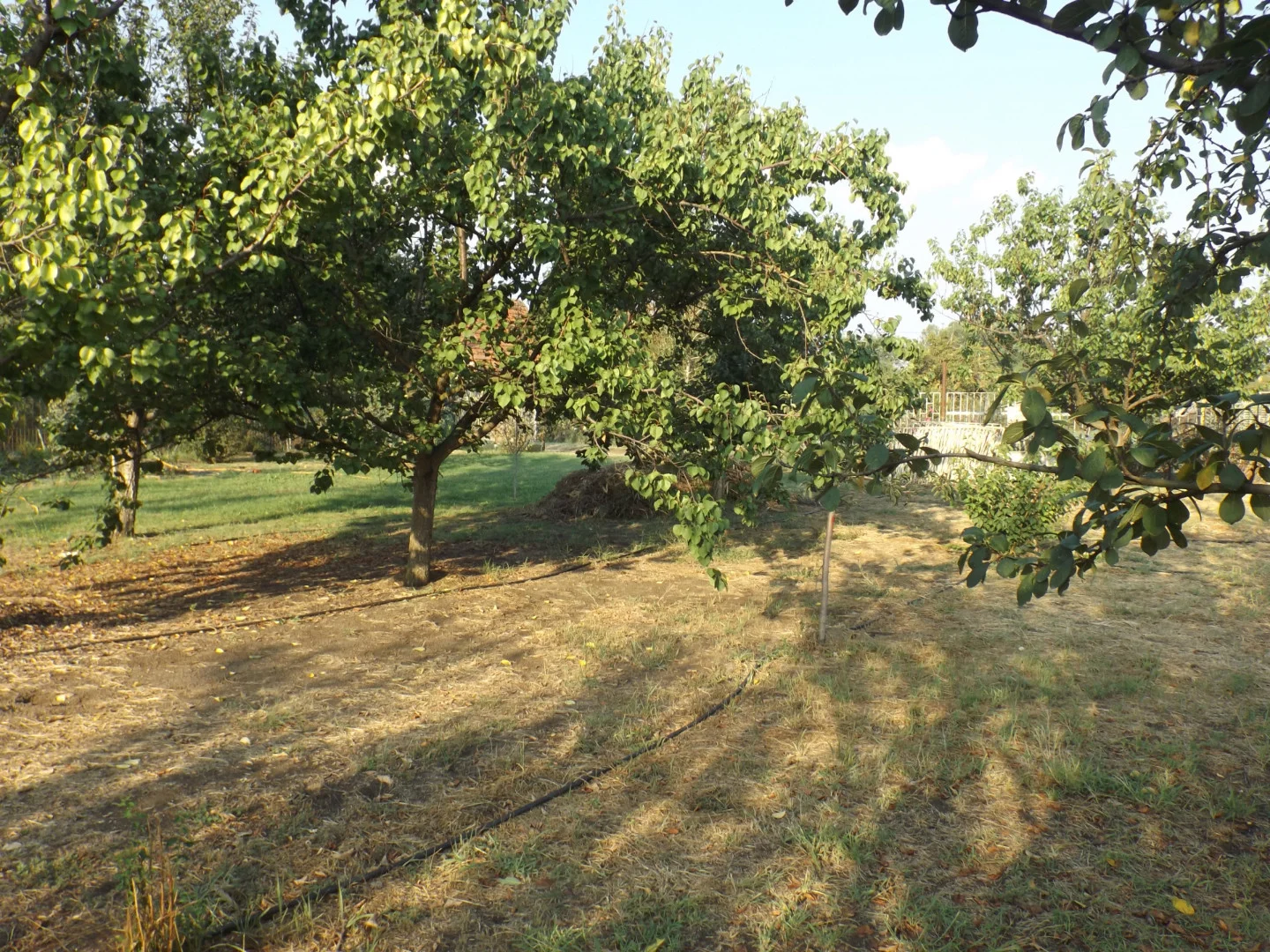 Eladó családi ház Sándorfalvan