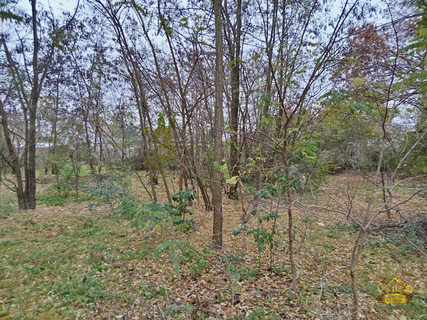 Eladó építési telek Szigetszentmiklóson