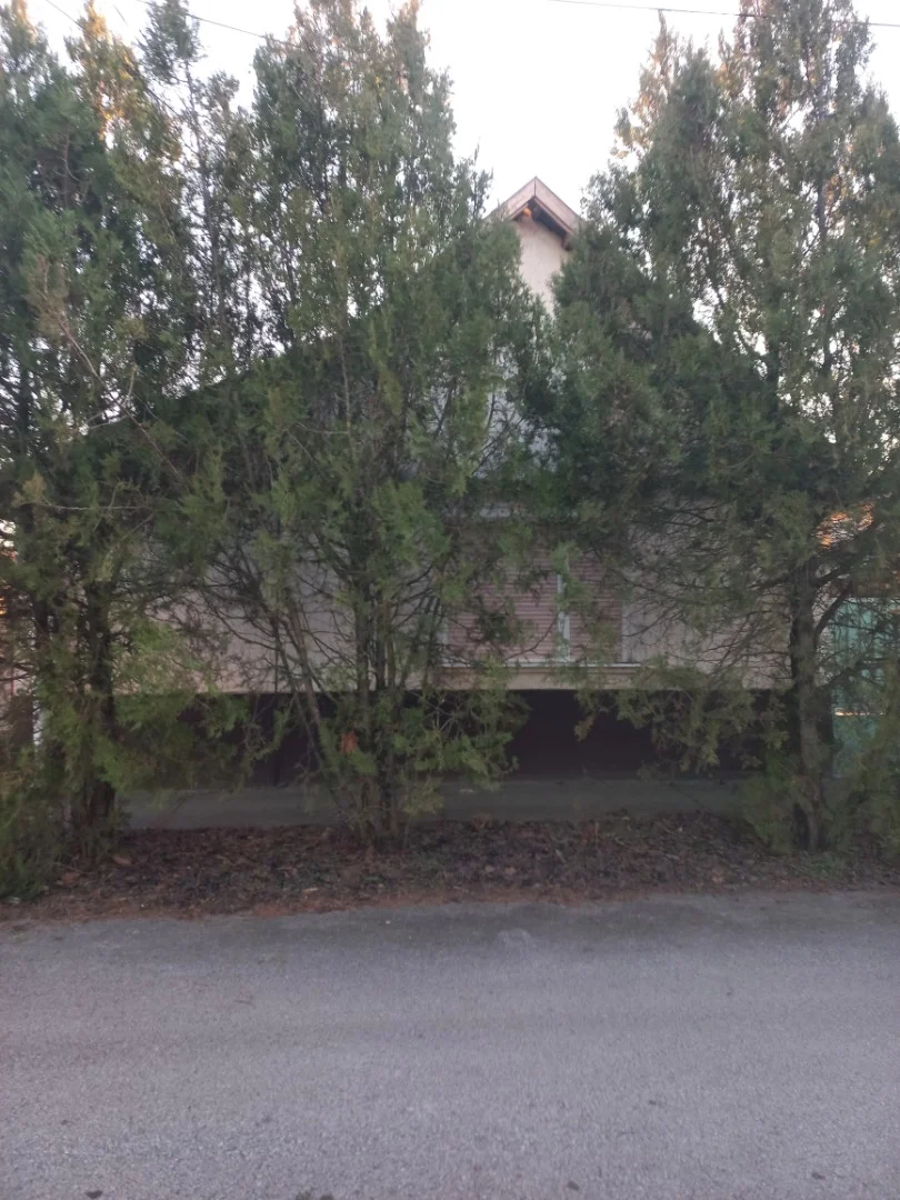 Eladó családi ház Jászfényszarun - Kép 3