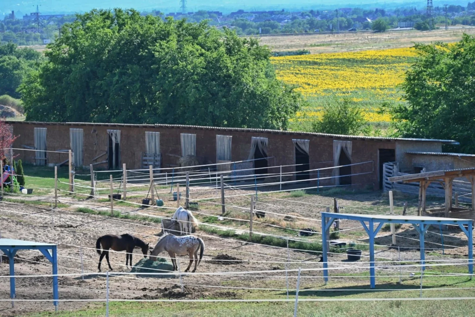 Eladó mezőgazdasági telek Fóton