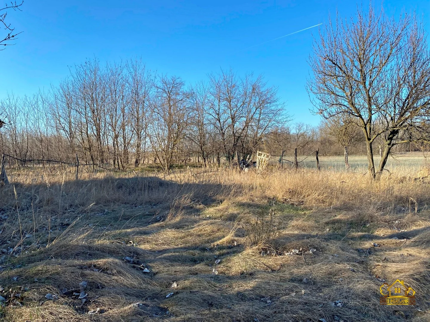 Eladó tanya mezőgazdaság Lajosmizsen - Kép 3