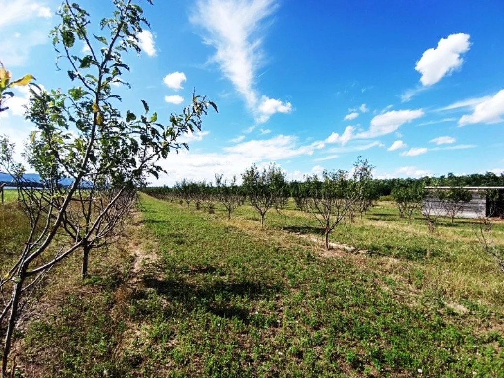 Eladó tanya mezőgazdaság Sződen