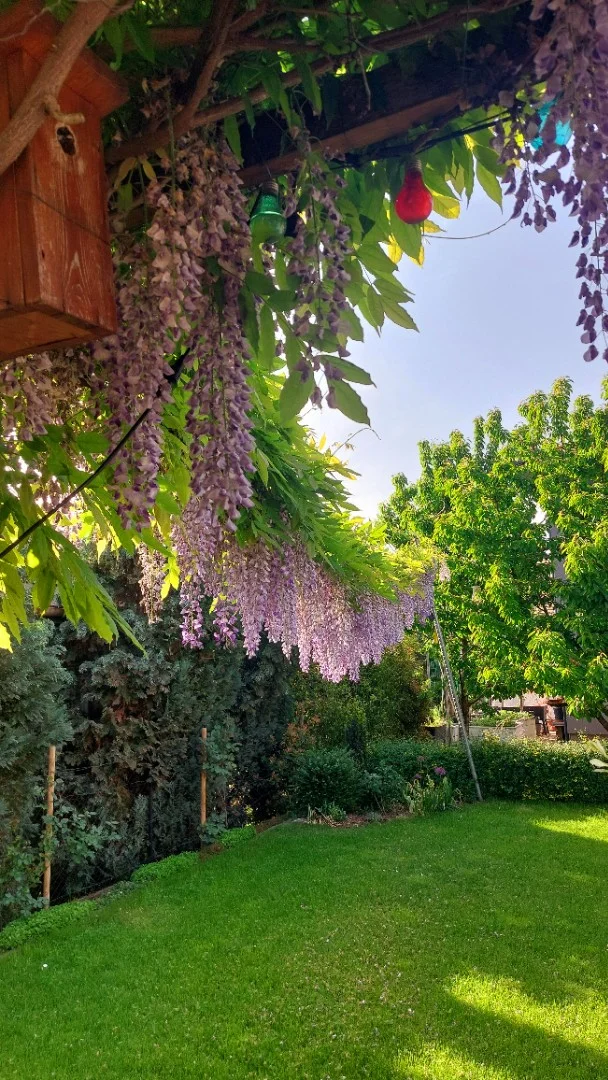 Eladó ikerház Budapest 18. ker.en - Kép 17