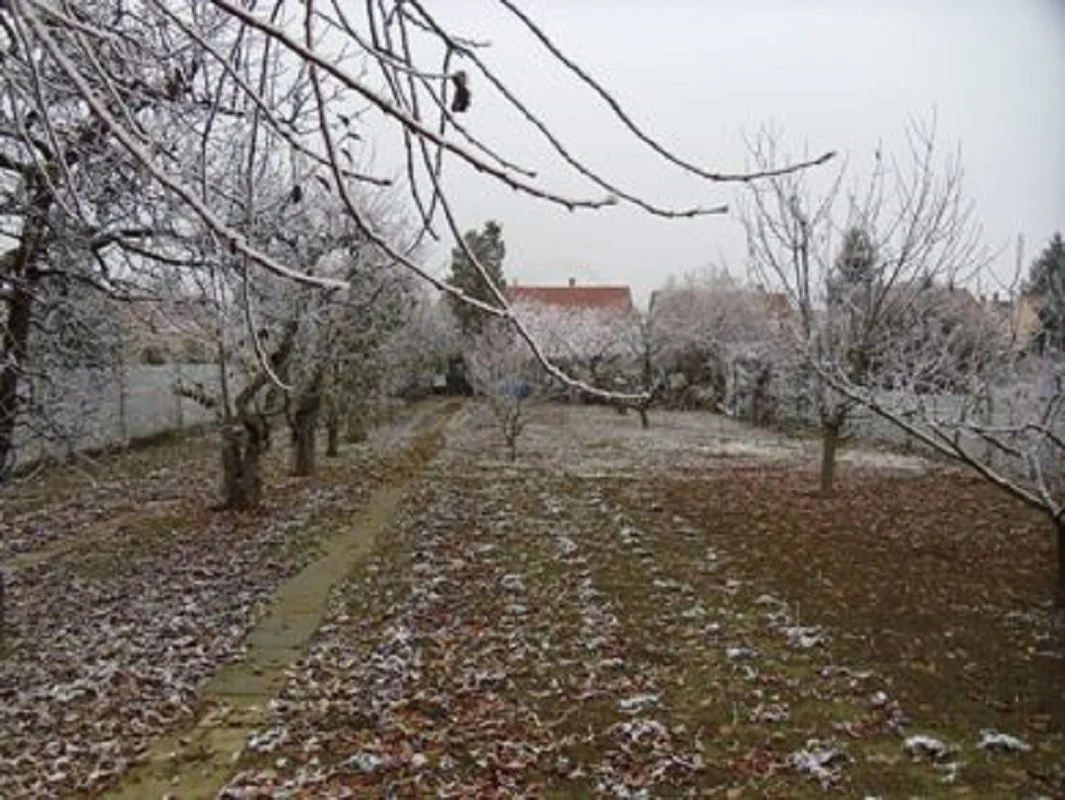 Eladó családi ház Szegeden - Kép 6