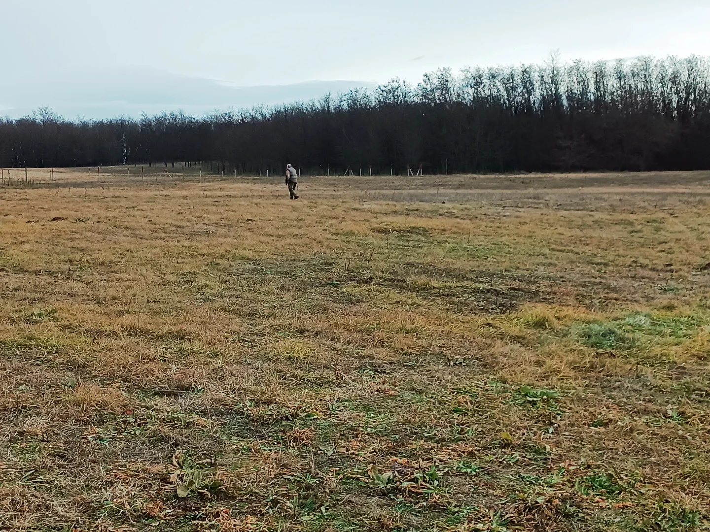 Eladó termőföld, szánó mezőgazdaság Őrbottyánon - Kép 4