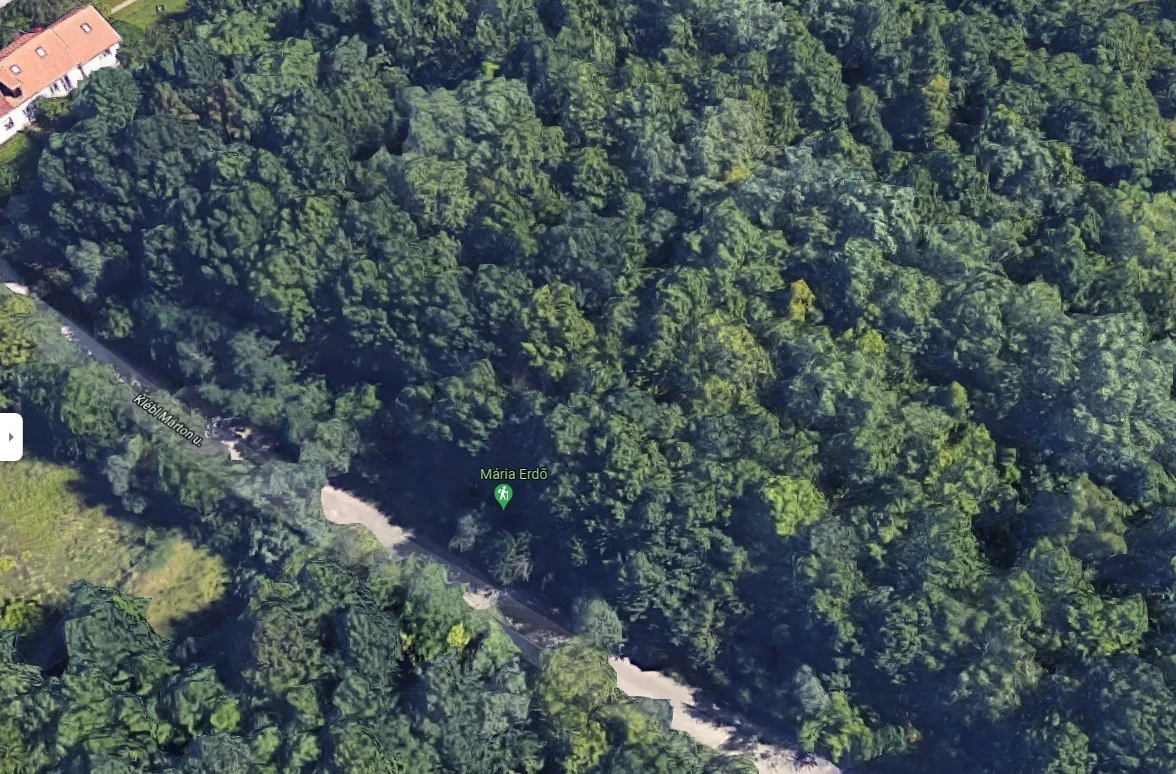 Eladó erdő mezőgazdaság Budapest 23. ker.en - Kép 2