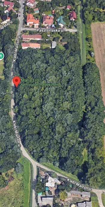 Eladó erdő mezőgazdaság Budapest 23. ker.en - Kép 8