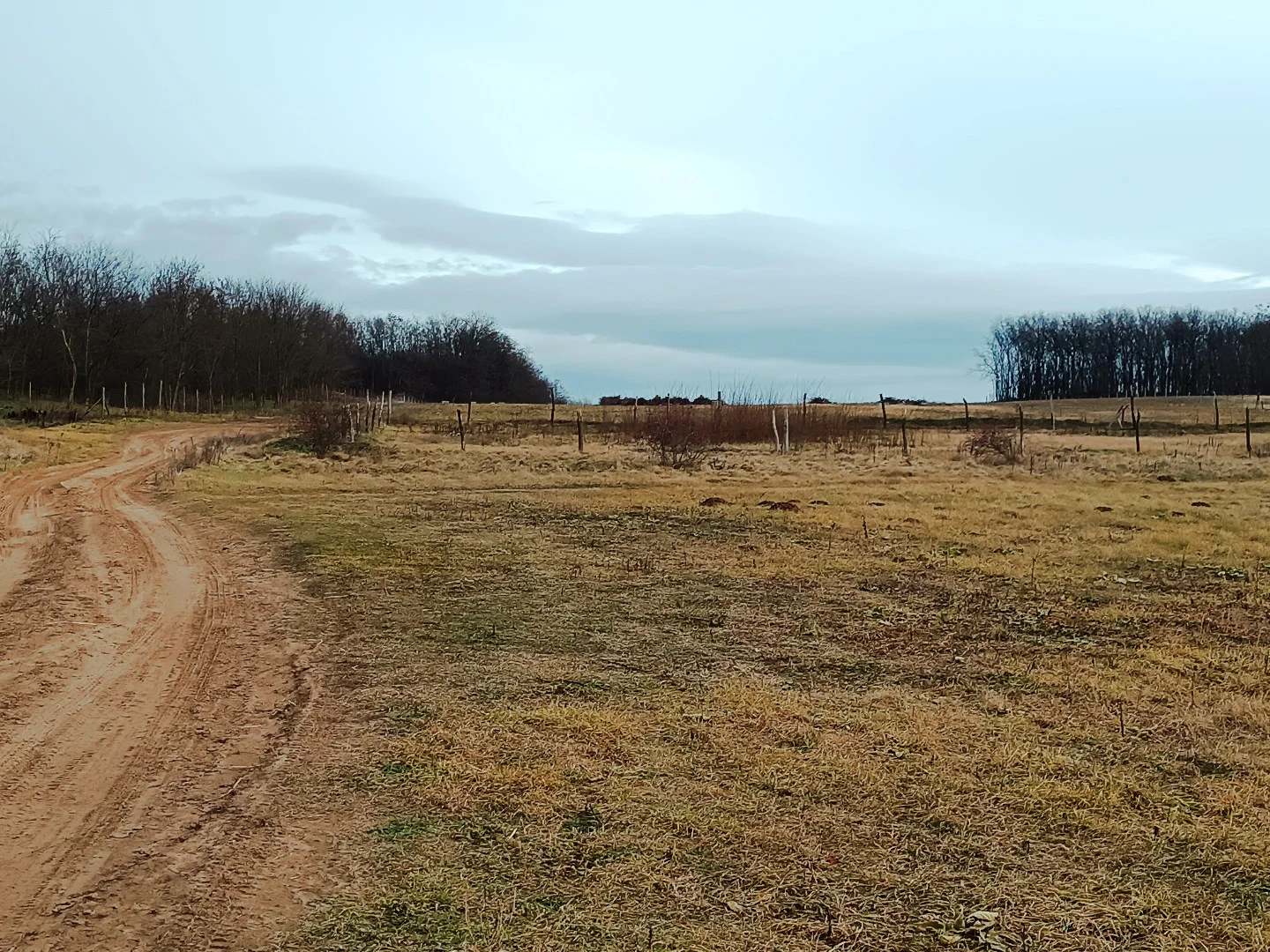 Eladó termőföld, szánó mezőgazdaság Őrbottyánon