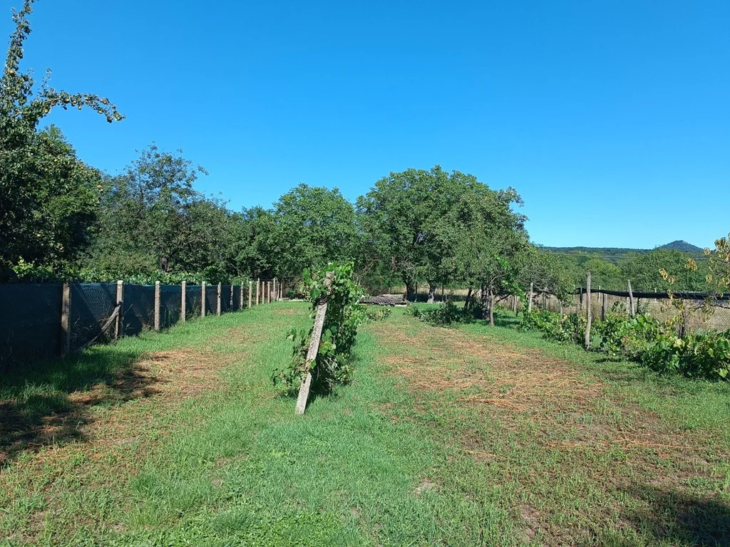 Eladó családi ház Letkésen - Kép 12
