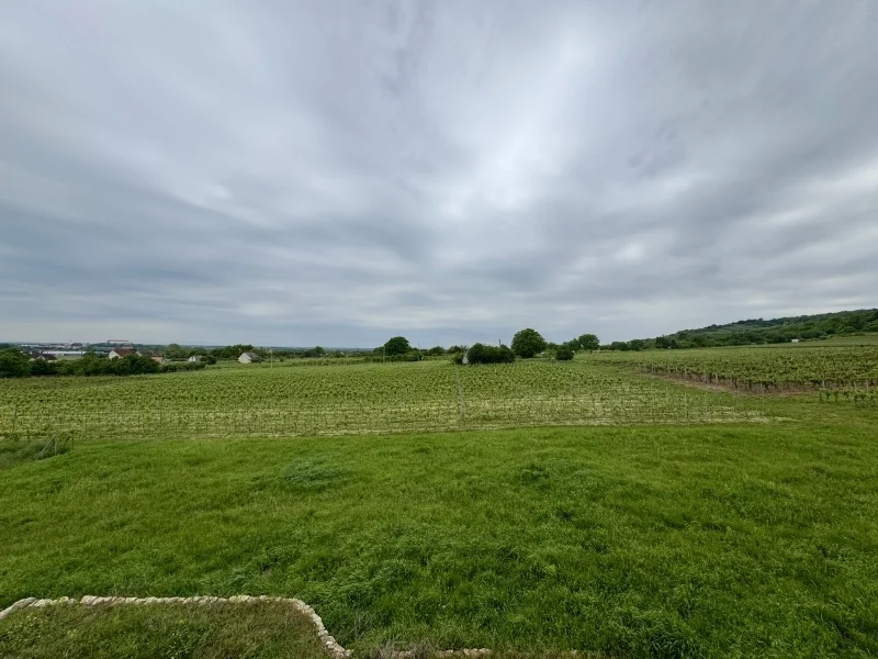 Eladó családi ház Kisharsányon - Kép 19