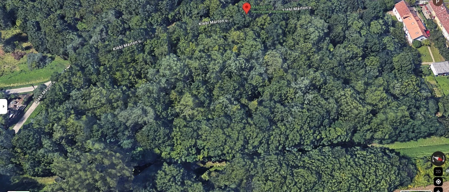 Eladó erdő mezőgazdaság Budapest 23. ker.en - Kép 6