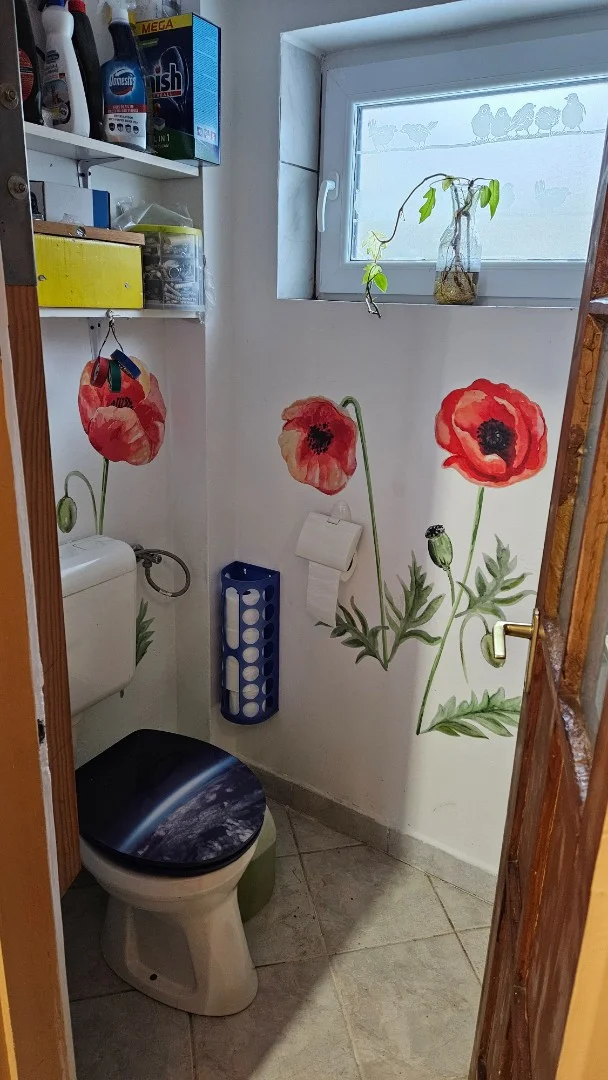 Eladó családi ház Szentendren - Kép 11