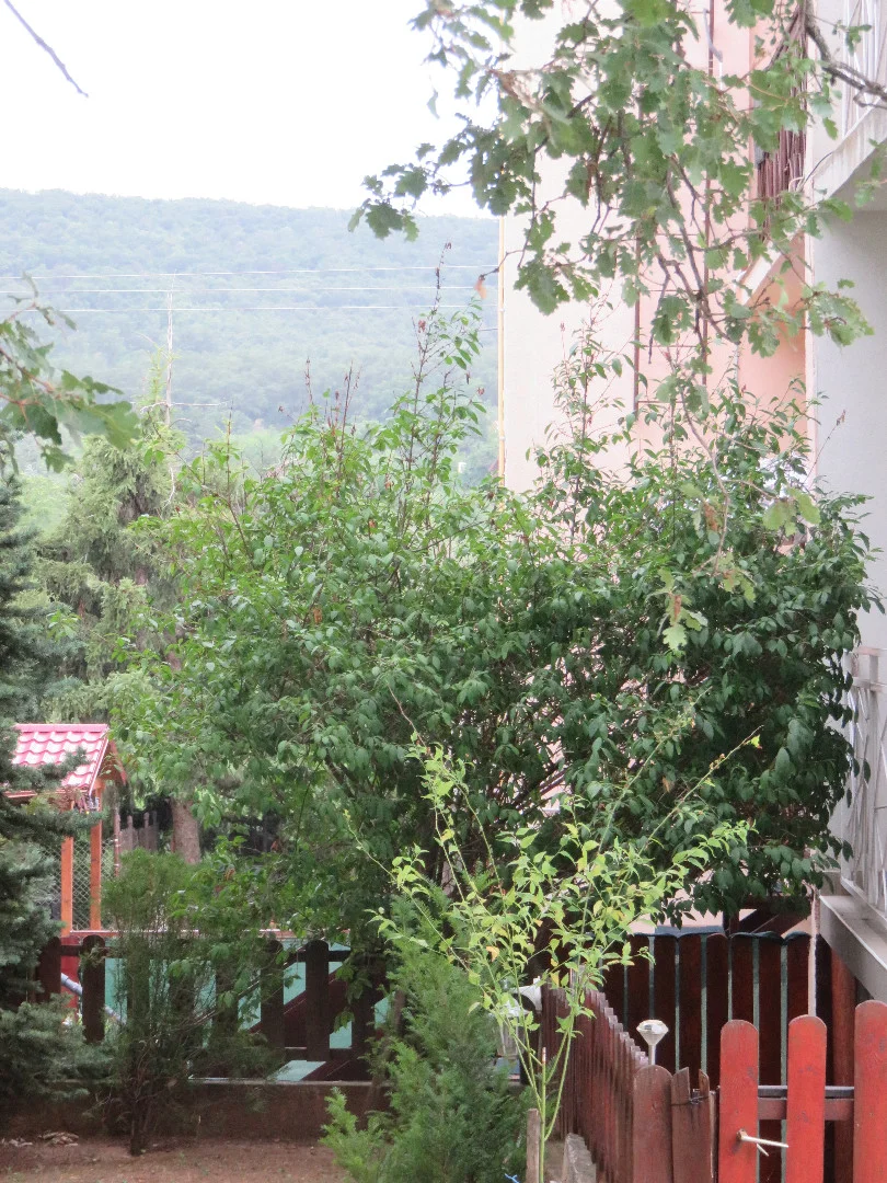 Eladó sorház Balatonalmádin - Kép 9