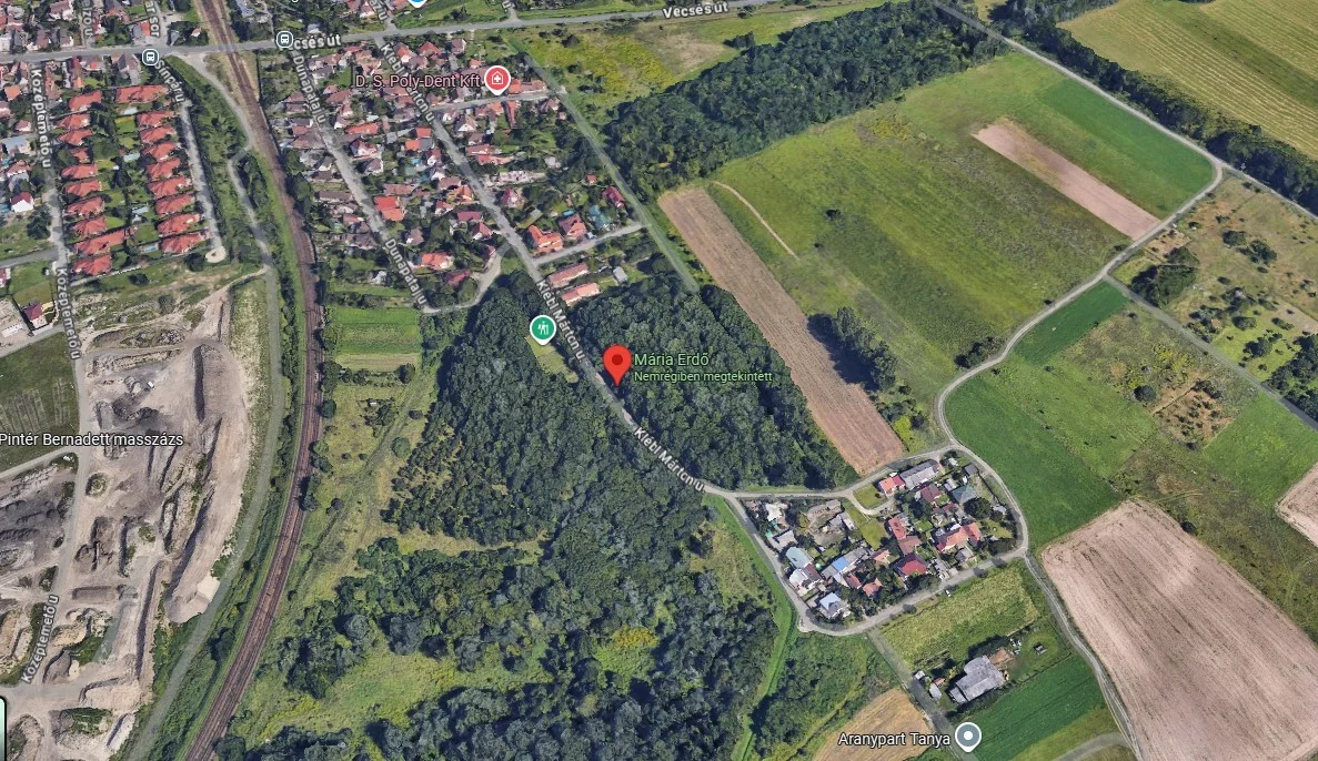 Eladó erdő mezőgazdaság Budapest 23. ker.en - Kép 9