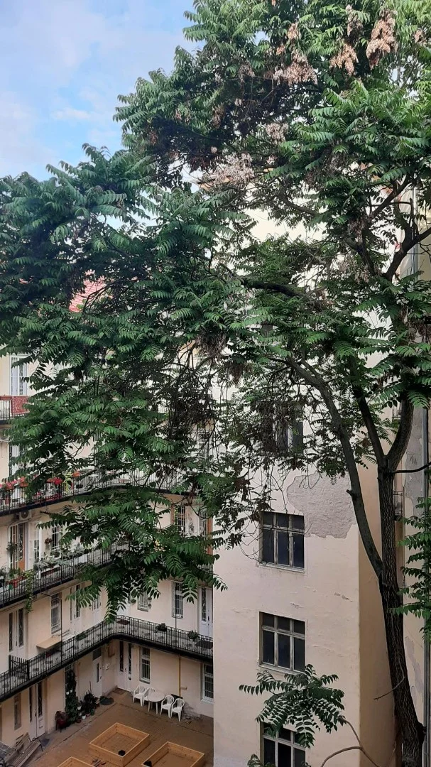 Eladó tégla lakás Budapest 13. ker.en - Kép 11