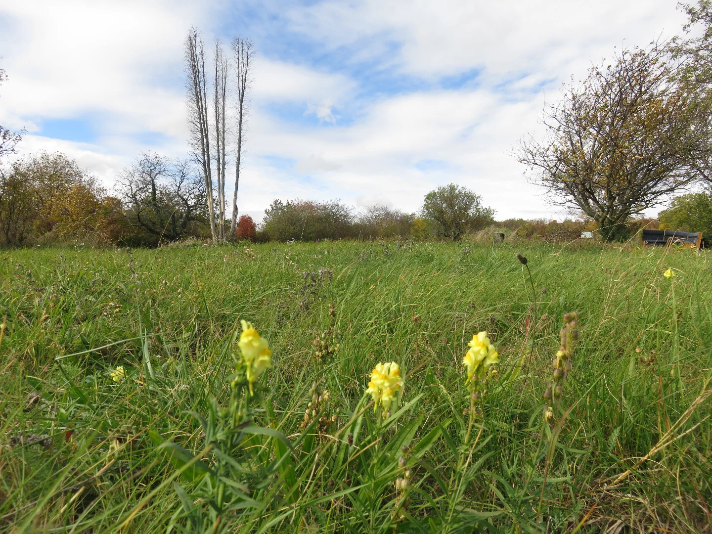 Eladó mezőgazdasági telek Balatonalmádin - Kép 3