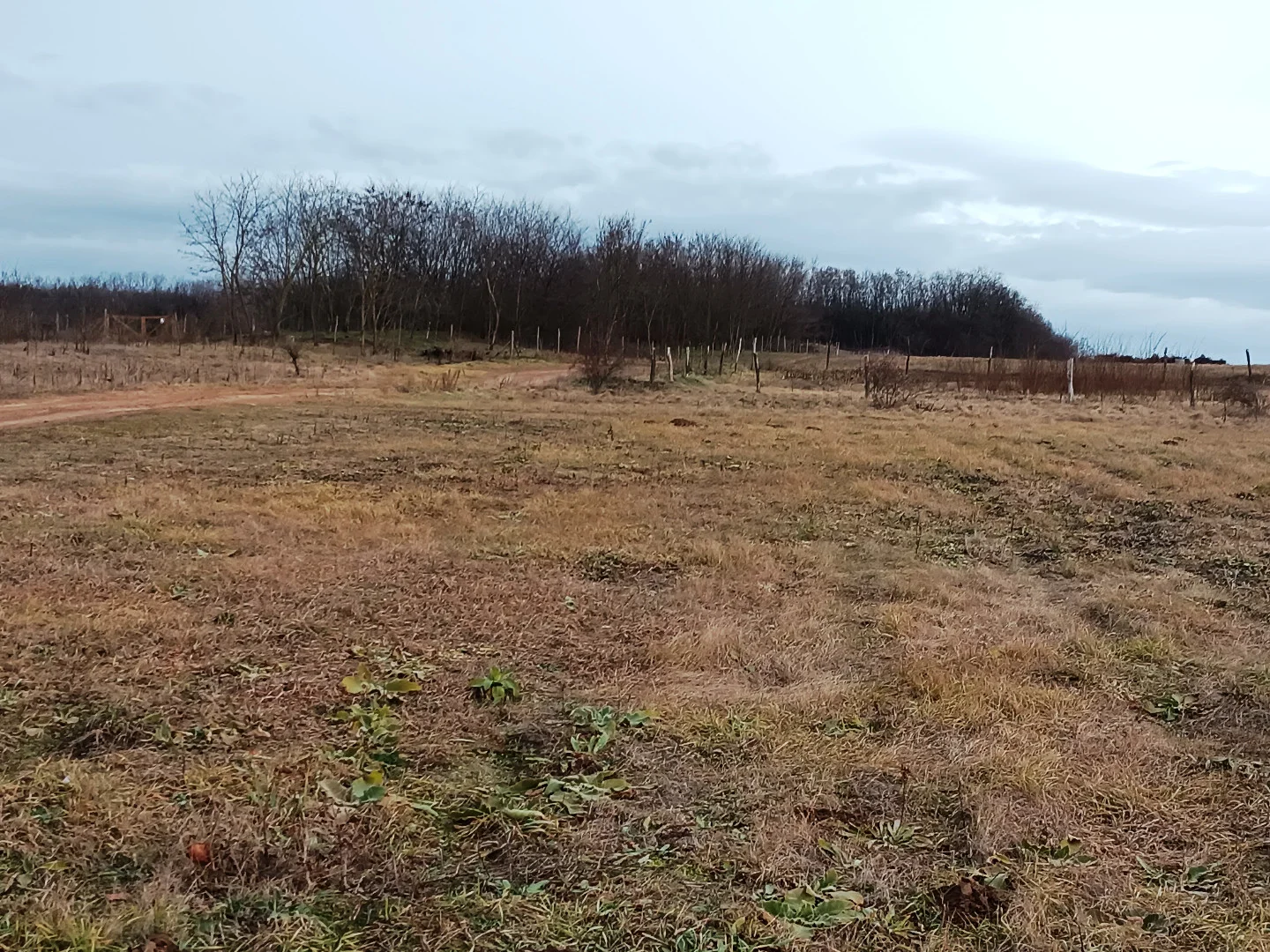 Eladó termőföld, szánó mezőgazdaság Őrbottyánon - Kép 3