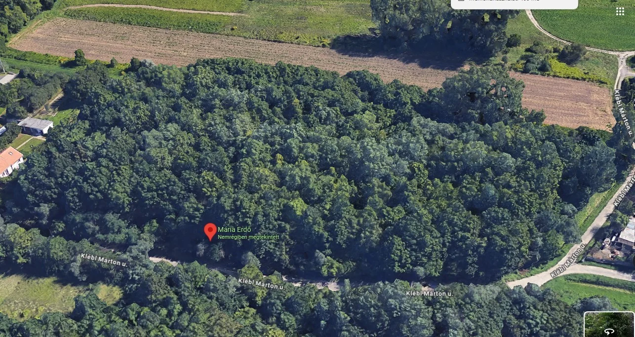 Eladó erdő mezőgazdaság Budapest 23. ker.en - Kép 5