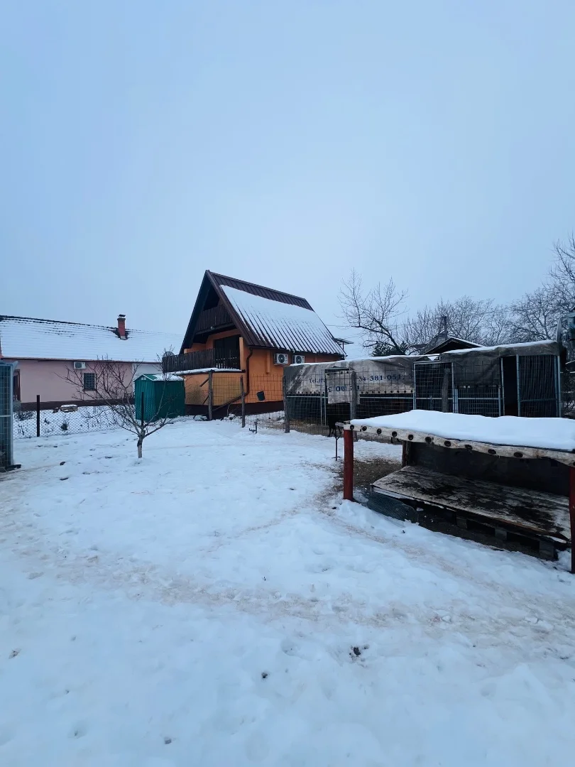 Eladó családi ház Cserkeszőlőn - Kép 10