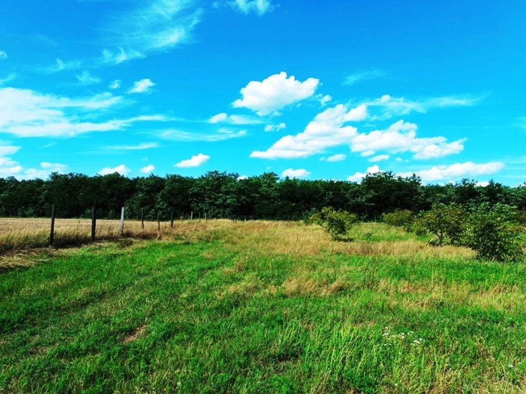 Eladó termőföld, szánó mezőgazdaság Sződen