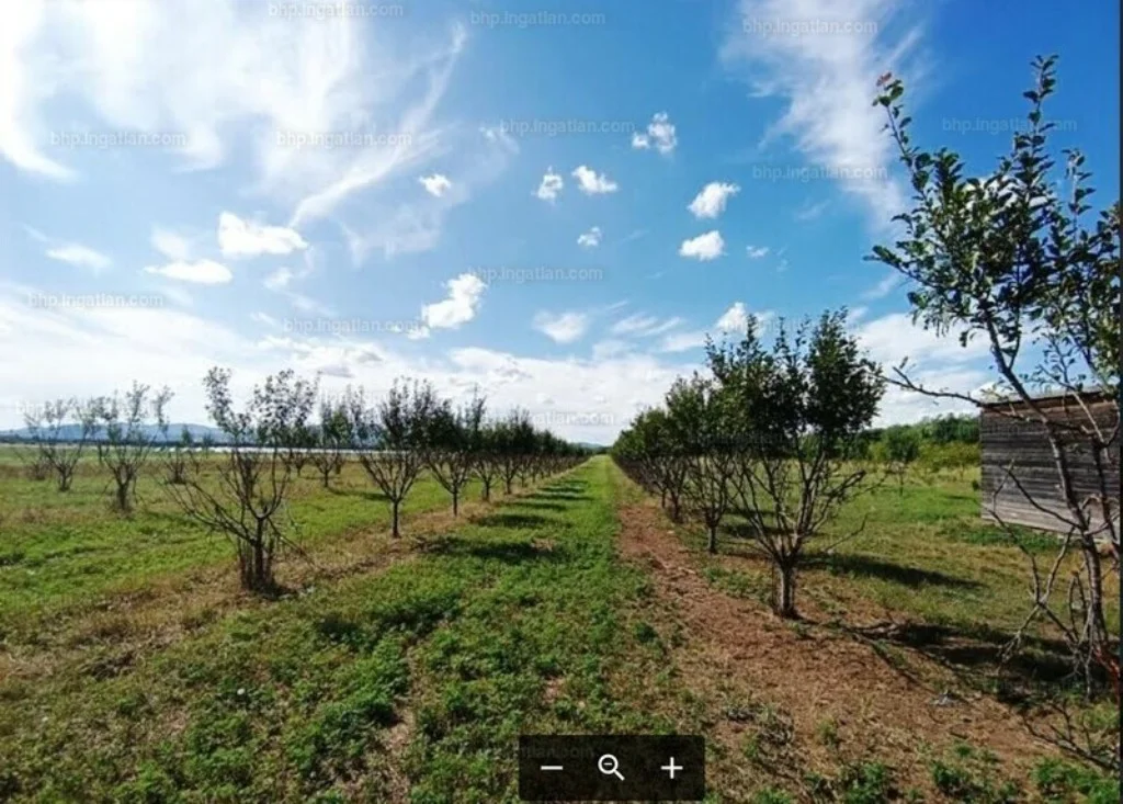 Eladó termőföld, szánó mezőgazdaság Sződen - Kép 4