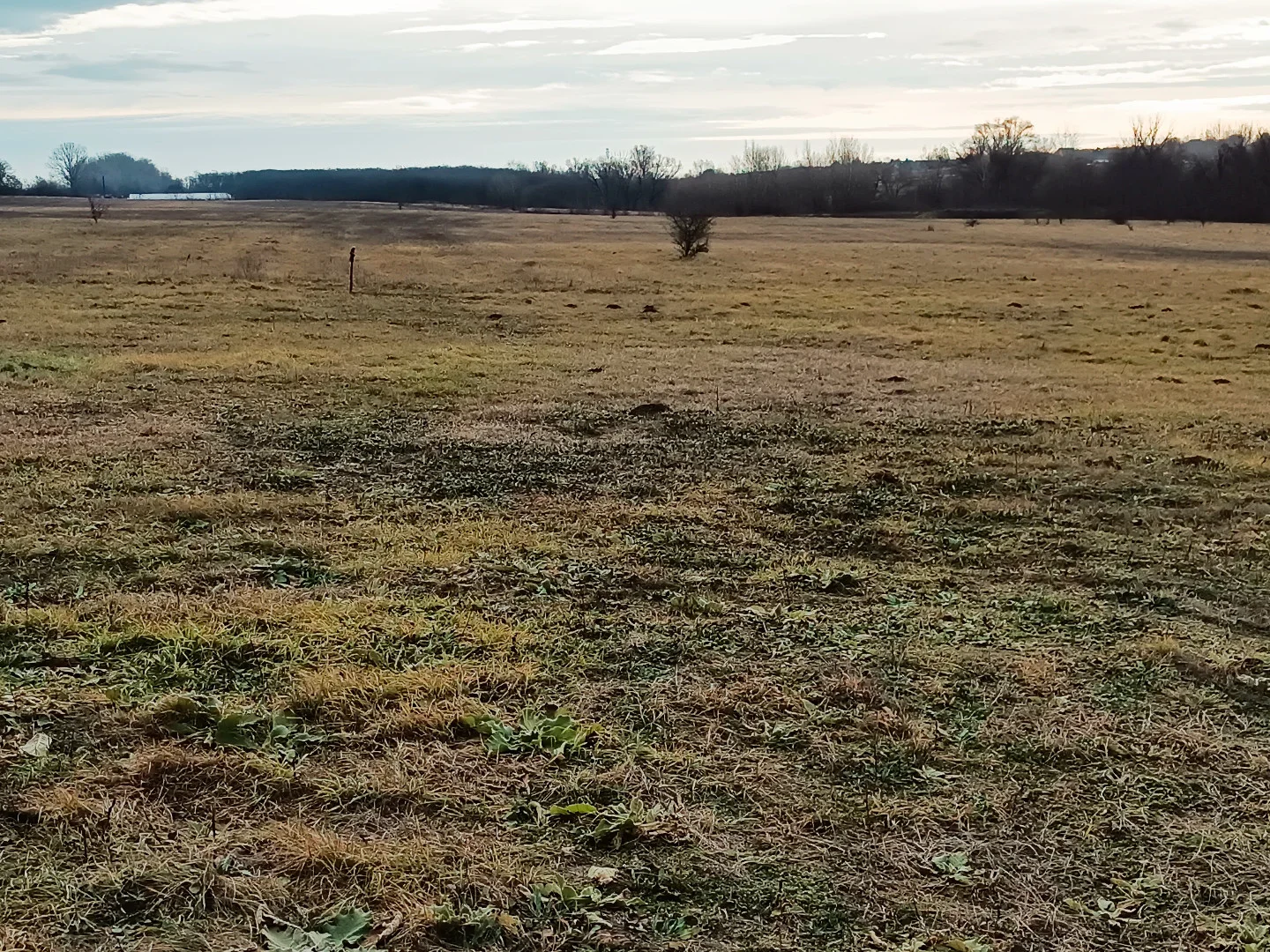 Eladó termőföld, szánó mezőgazdaság Őrbottyánon - Kép 2