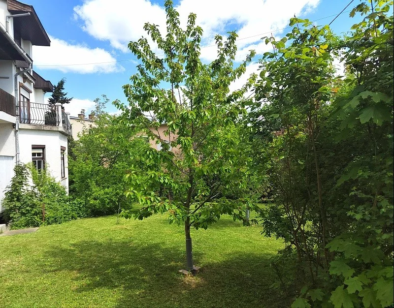 Eladó tégla lakás Budapest 12. ker.en - Kép 15