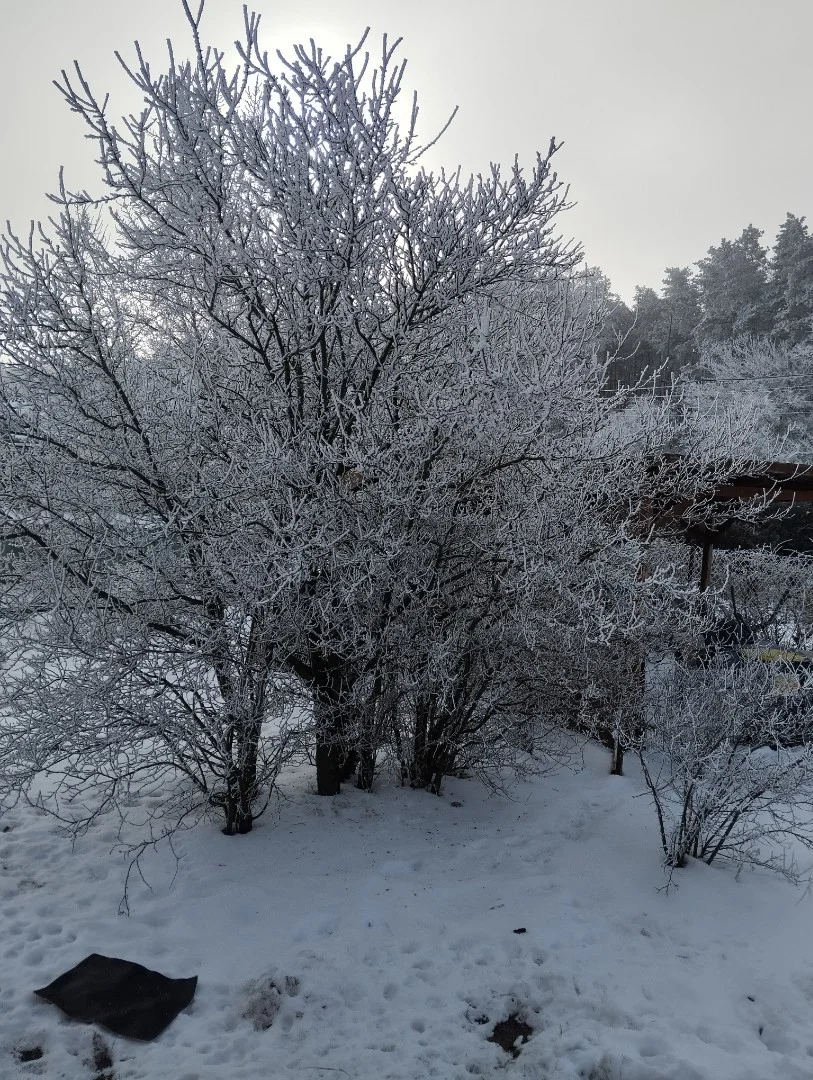 Eladó családi ház Erdőkertesen - Kép 2