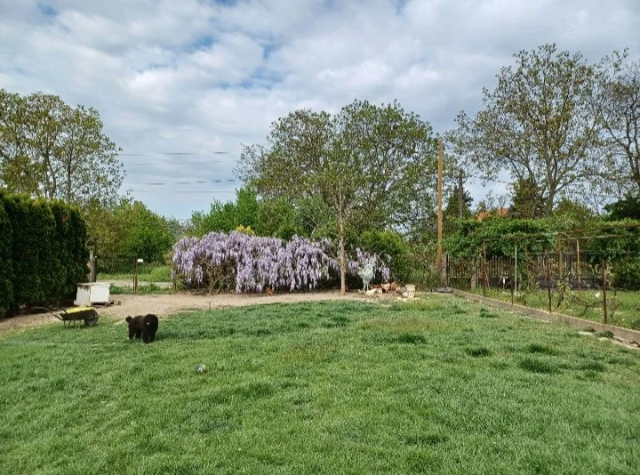 Eladó építési telek Szolnokon - Kép 3
