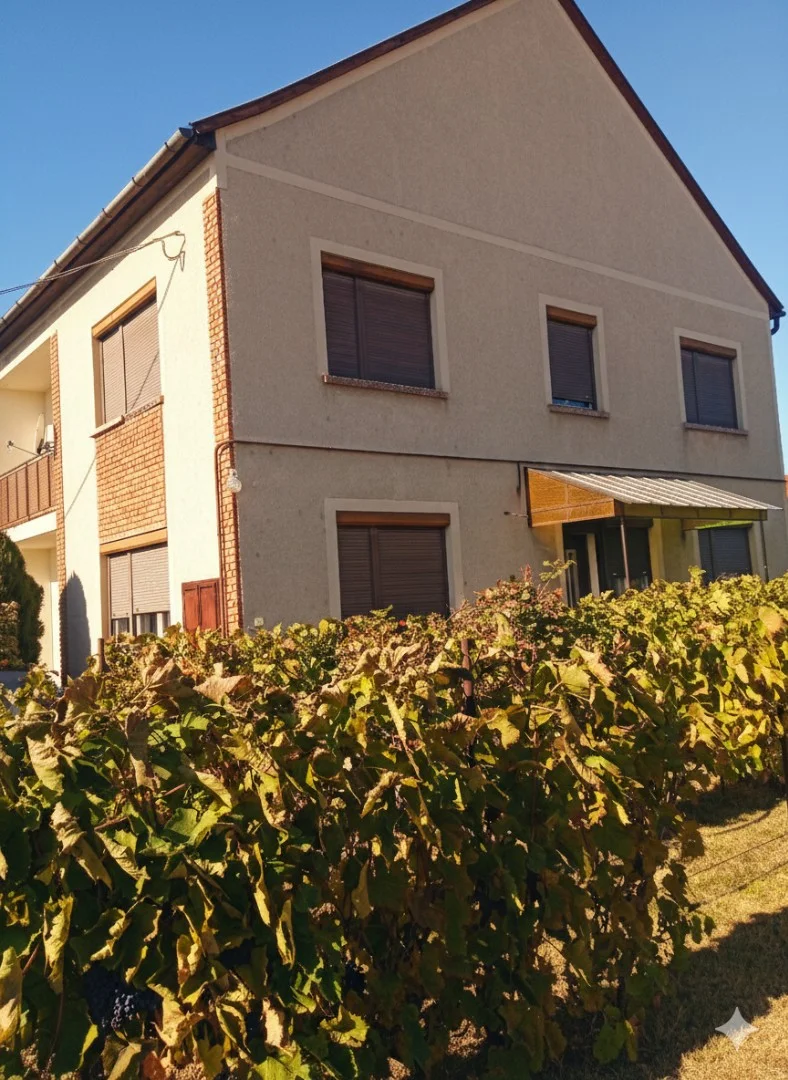 Eladó családi ház Domaszéken