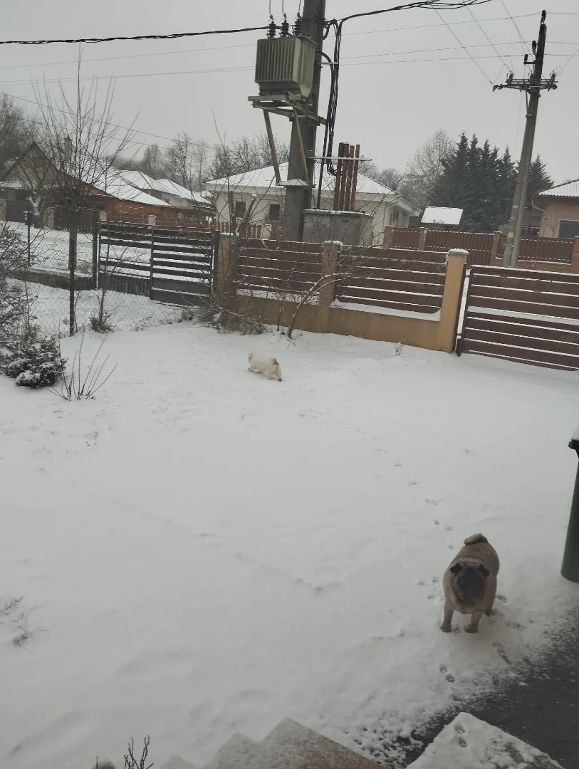 Eladó családi ház Erdőkertesen