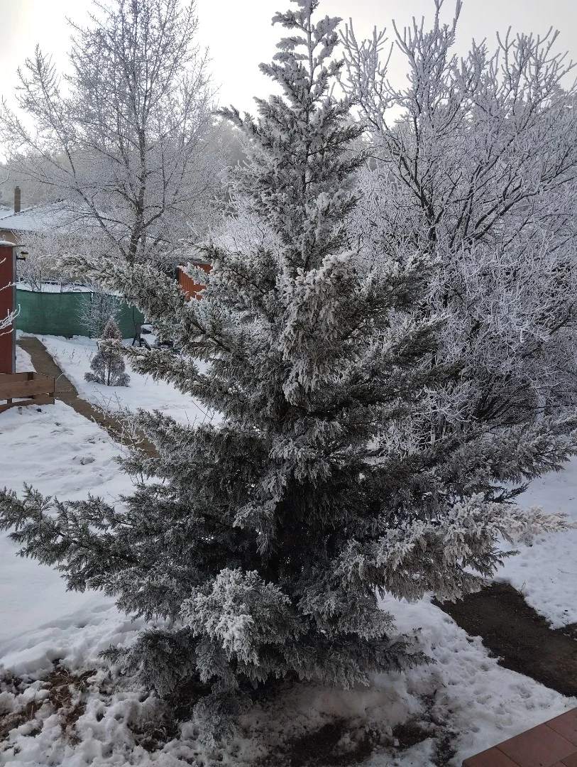 Eladó családi ház Erdőkertesen - Kép 4