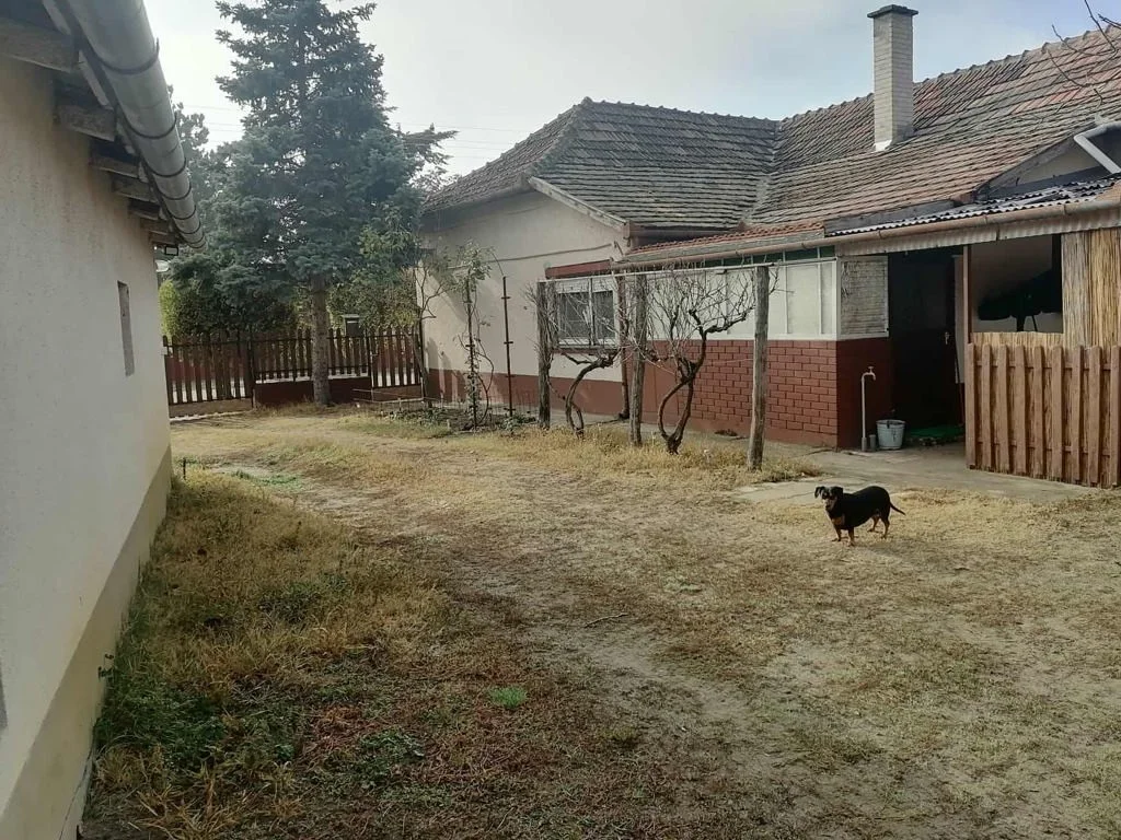 Eladó családi ház Tázláron - Kép 3