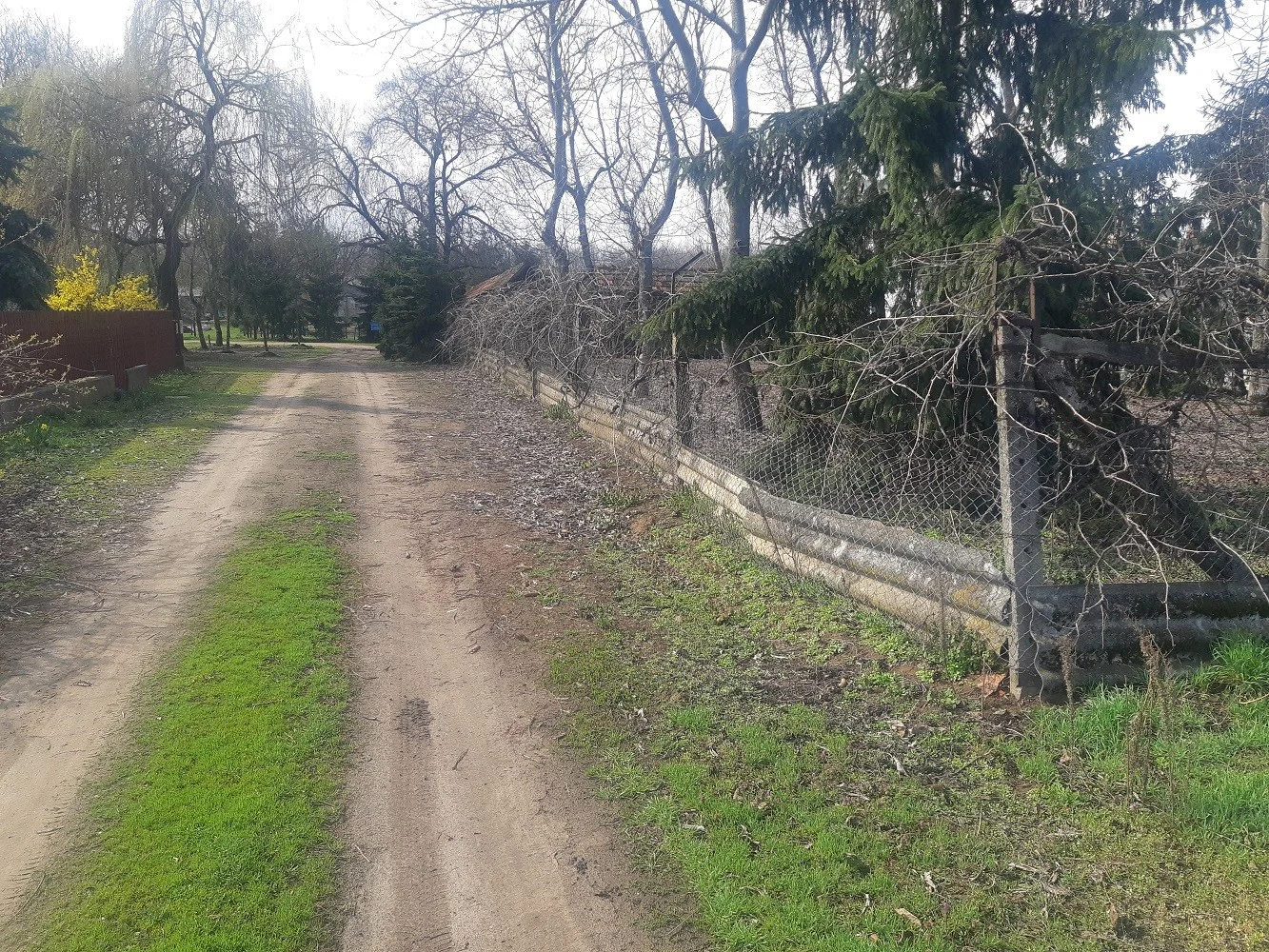 Eladó tanya mezőgazdaság Debrecenben - Kép 14