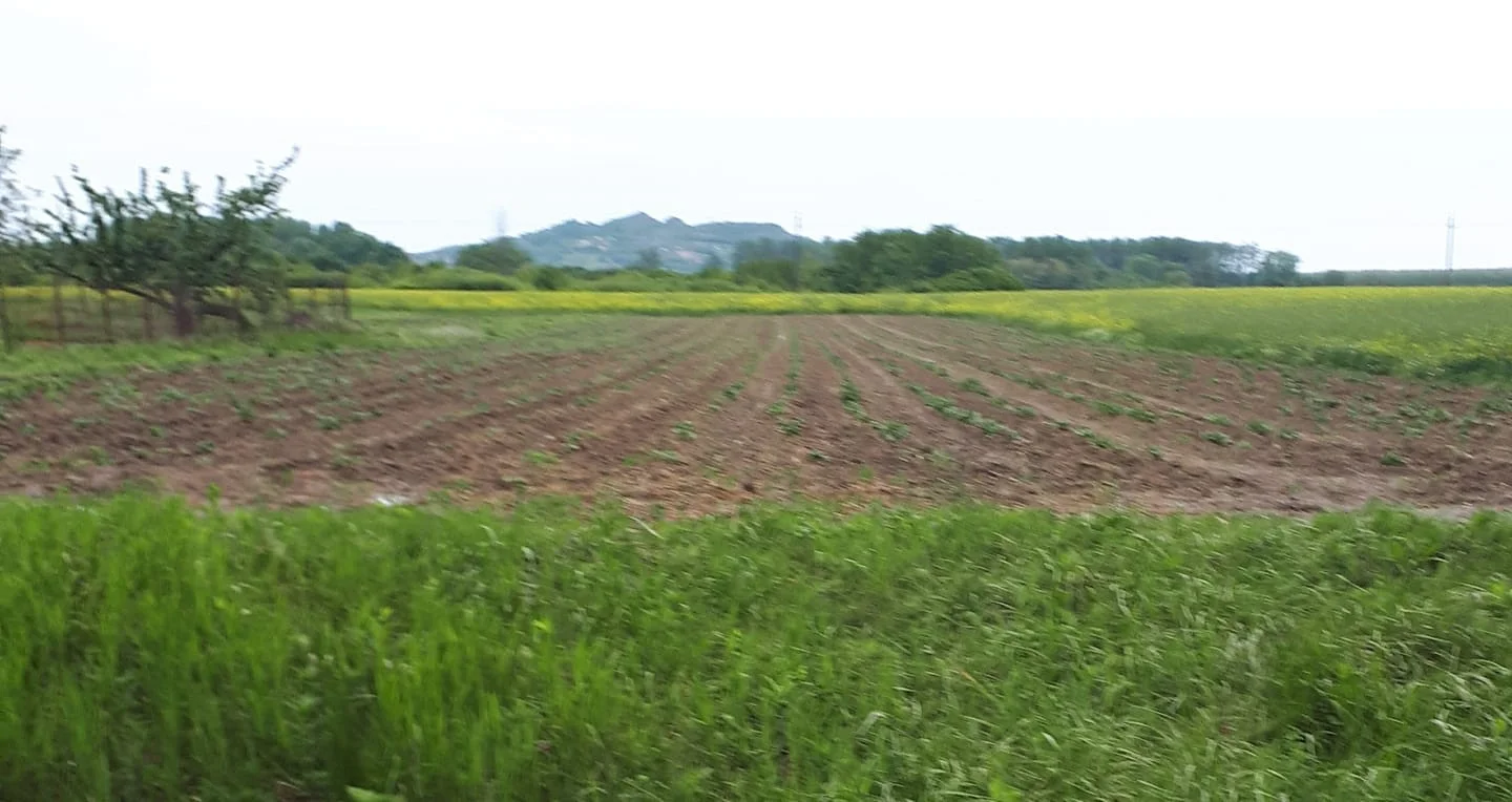Eladó építési telek Köcsken - Kép 3