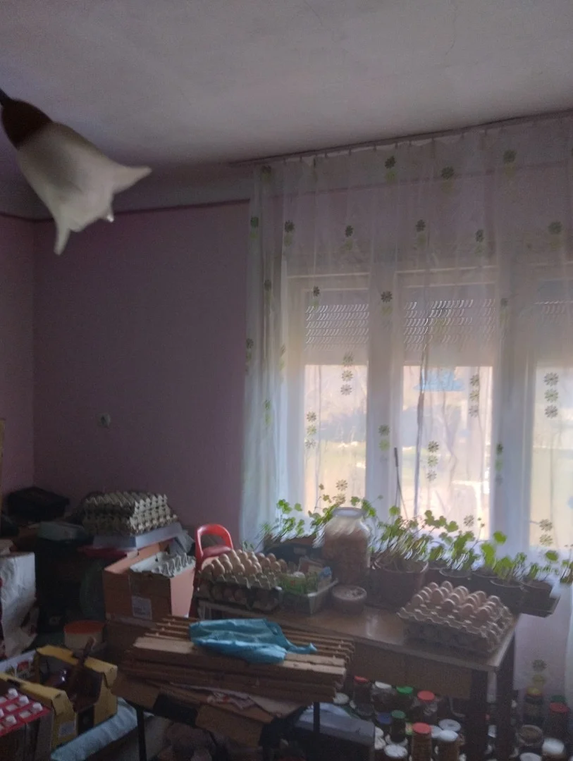 Eladó családi ház Gyomaendrőden - Kép 5