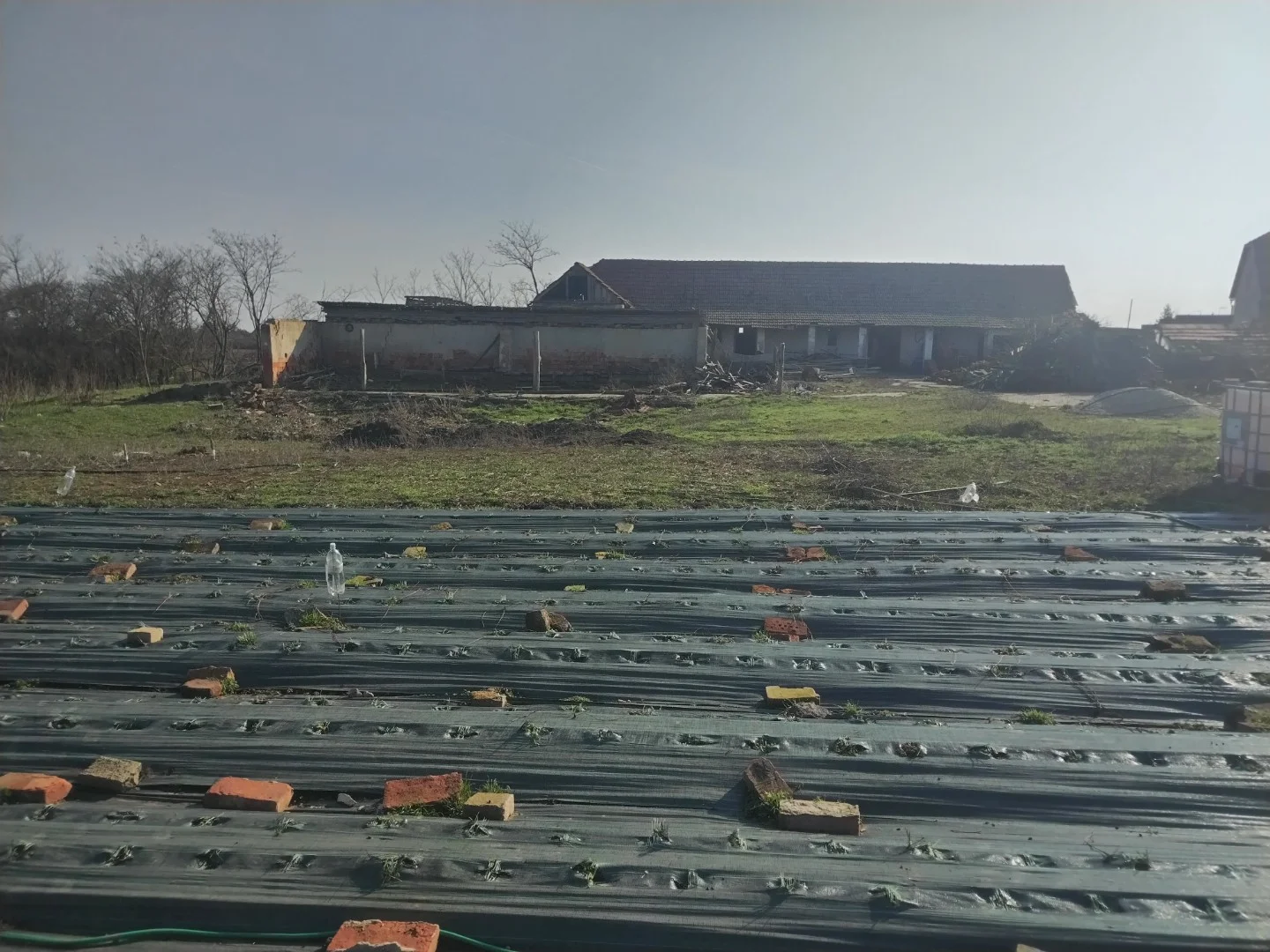 Eladó tanya mezőgazdaság Mezőberényen - Kép 14