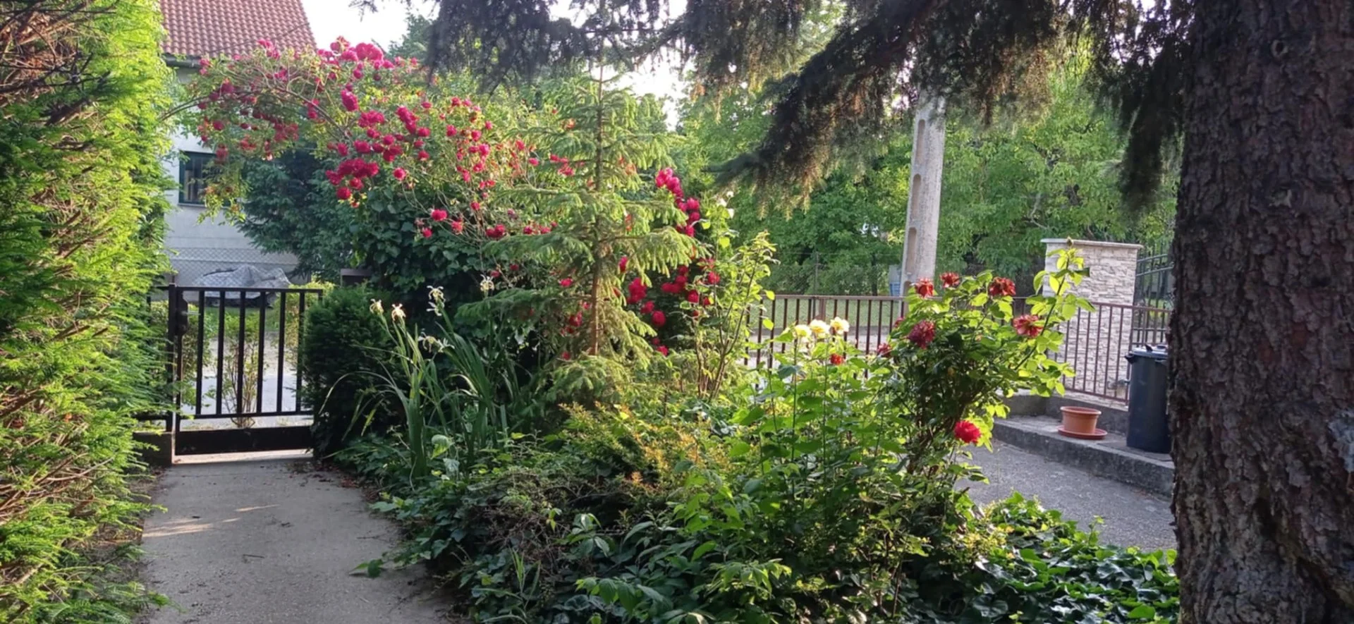 Eladó ikerház Budapest 22. ker.en - Kép 10