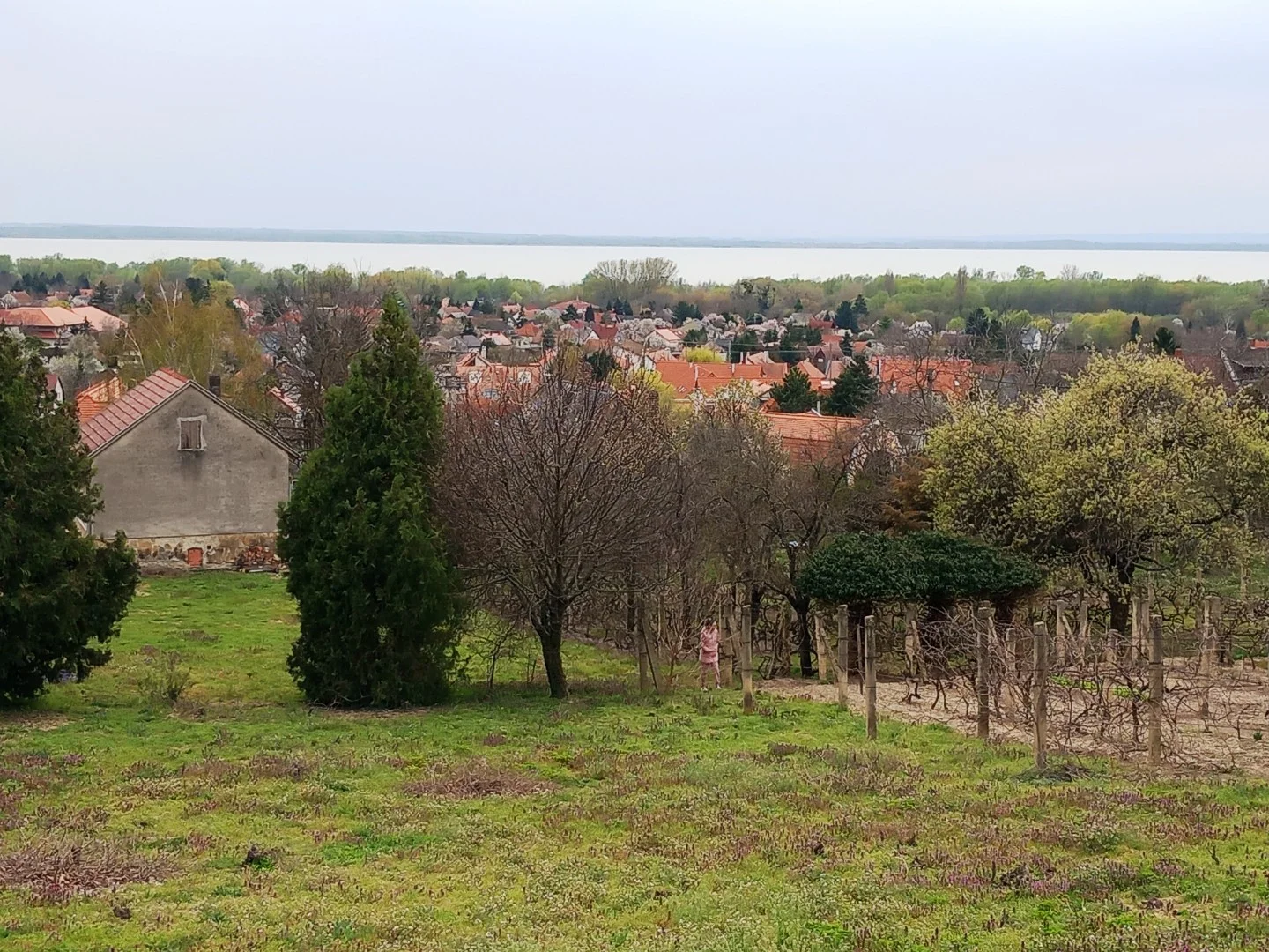 Eladó építési telek Vonyarcvashegyen