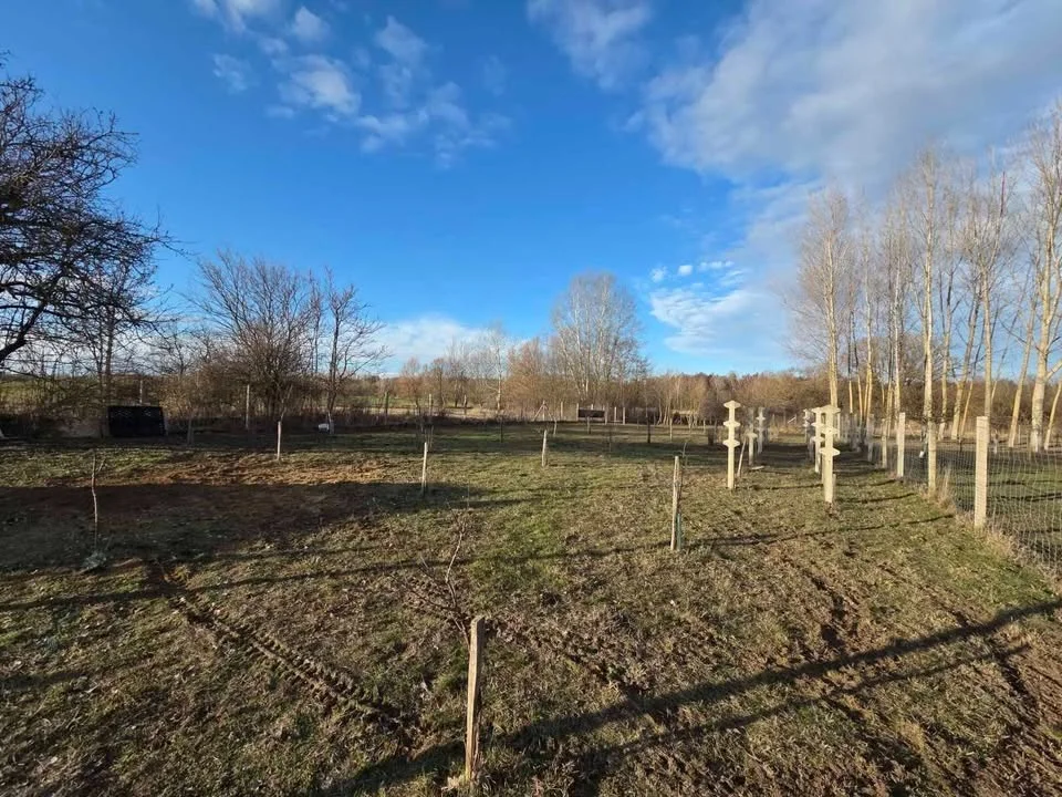 Eladó családi ház Kókan - Kép 7